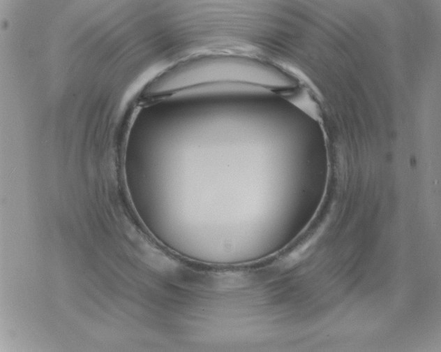 X0000071961114200607282026