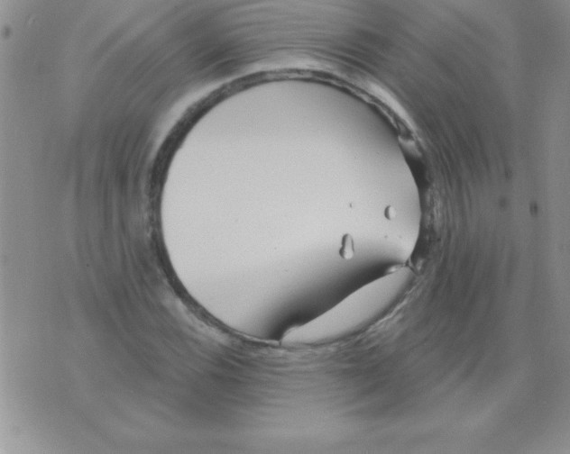 X0000071961116200607282026