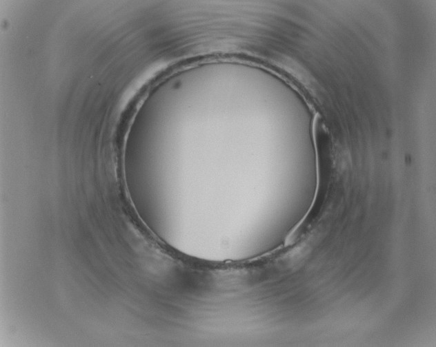 X0000071961118200607282026