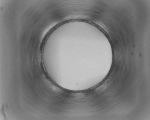 X0000071961119200607282026