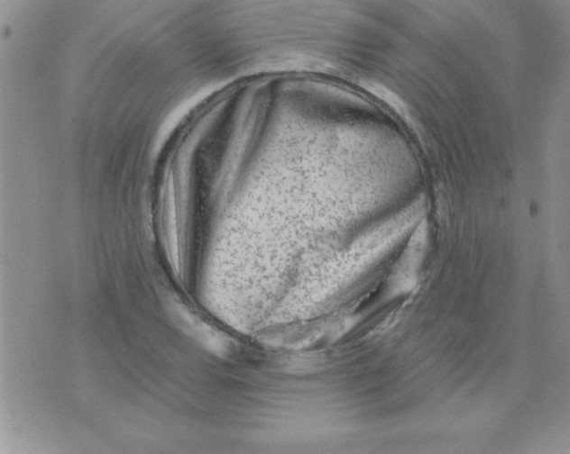 X0000071961120200607282026