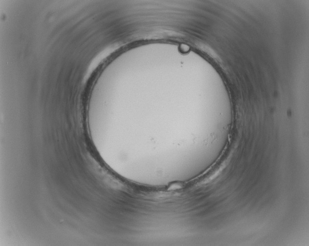 X0000071961122200607282026