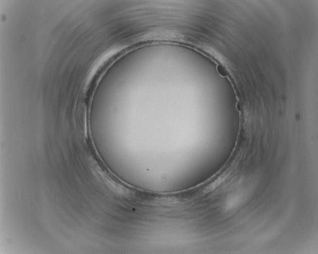 X0000071961123200607282026