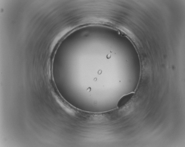 X0000071961128200607282026