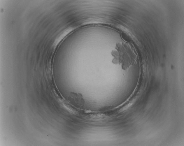 X0000071961129200607282026