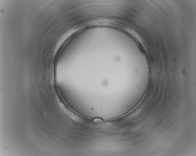 X0000071961131200607282026