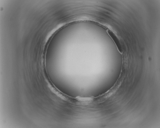 X0000071961134200607282026