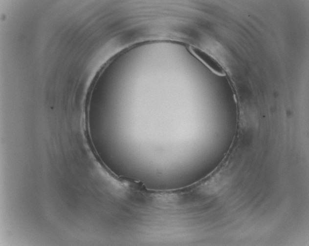 X0000071961136200607282027