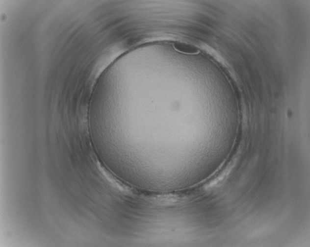 X0000071961137200607282027