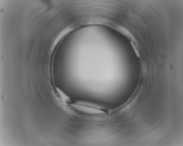 X0000071961138200607282027