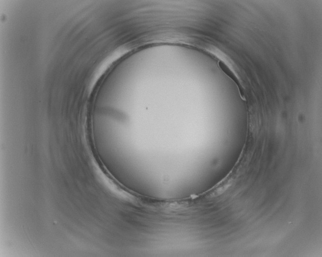 X0000071961139200607282027