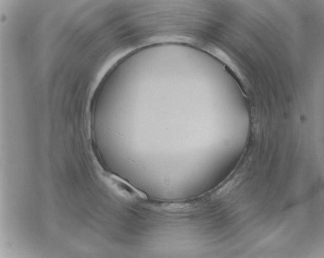 X0000071961140200607282027