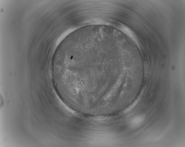 X0000071961141200607282027