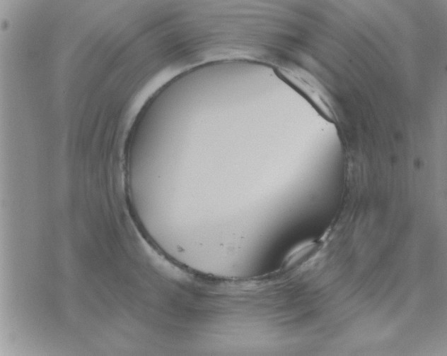 X0000071961143200607282027