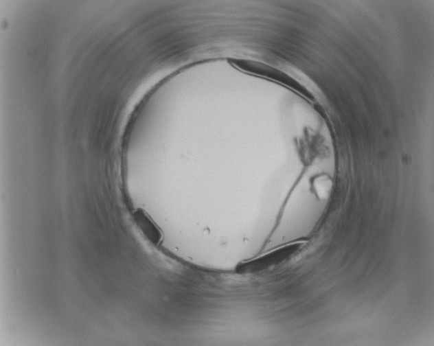 X0000071961144200607282027