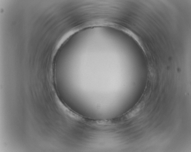 X0000071961147200607282027