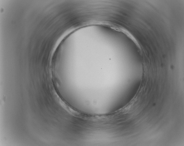 X0000071961148200607282027