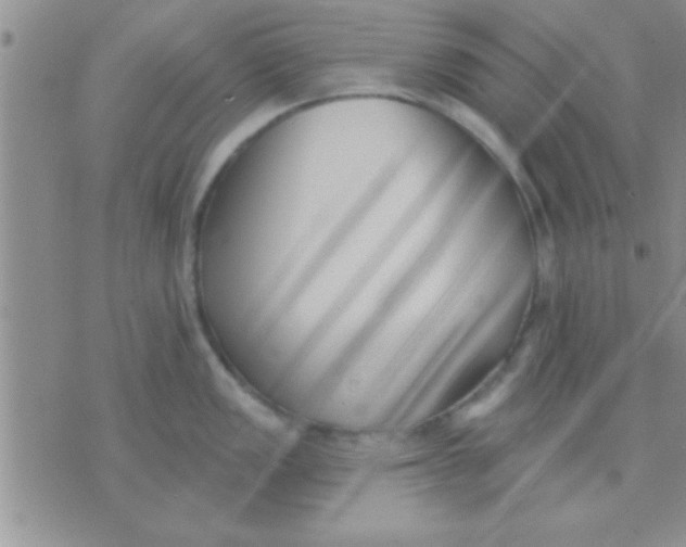 X0000071961149200607282027