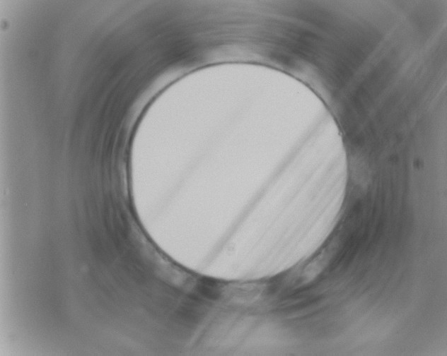 X0000071961150200607282027