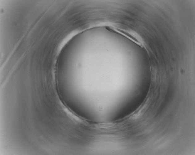 X0000071961151200607282027