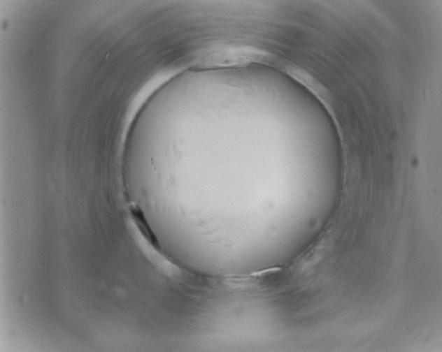 X0000071961152200607282027