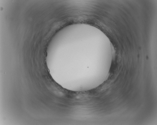 X0000071961153200607282026