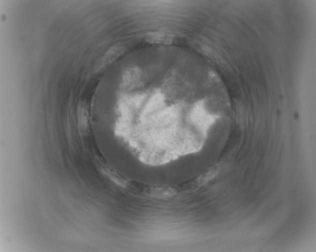 X0000071961154200607282026