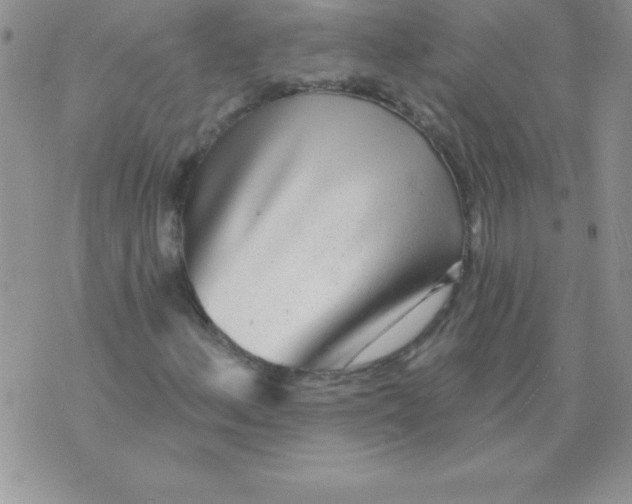 X0000071961156200607282026