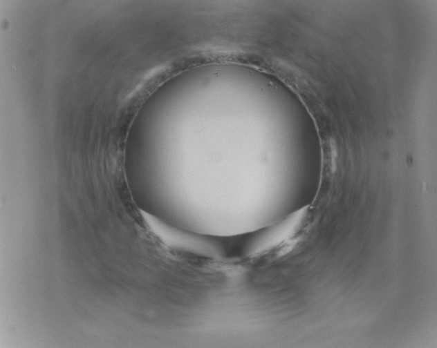 X0000071961157200607282026