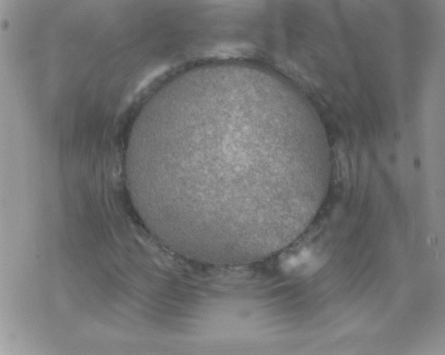 X0000071961158200607282026