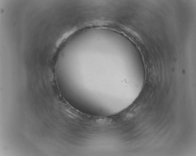 X0000071961160200607282026