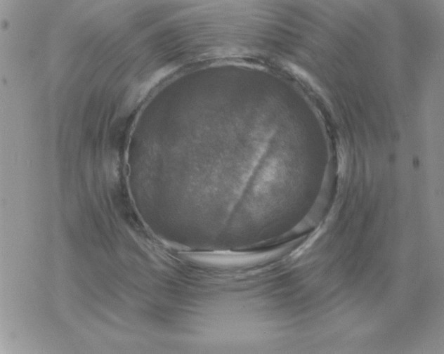 X0000071961161200607282026