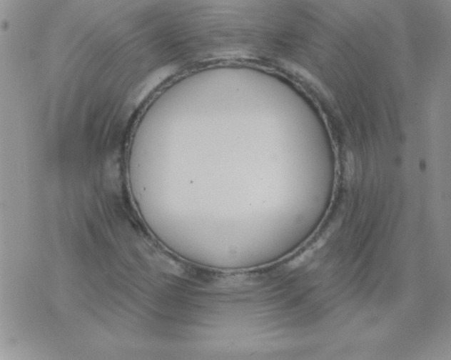 X0000071961162200607282026