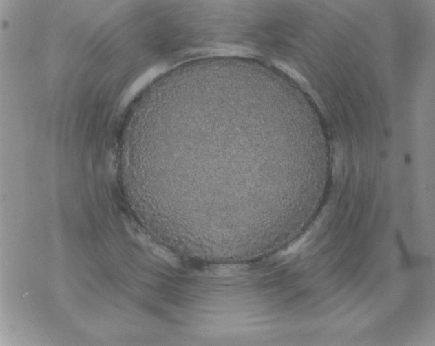 X0000071961163200607282026