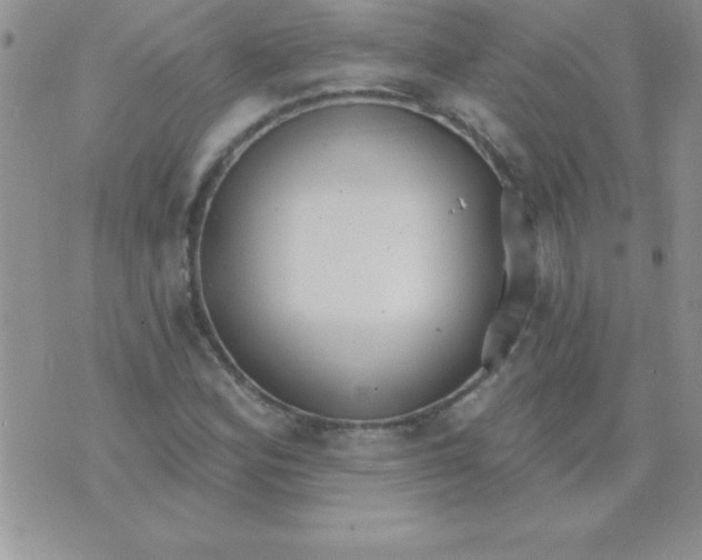 X0000071961164200607282026