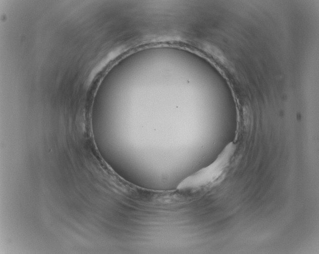 X0000071961165200607282026