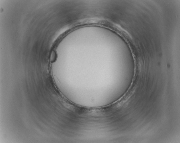 X0000071961166200607282026