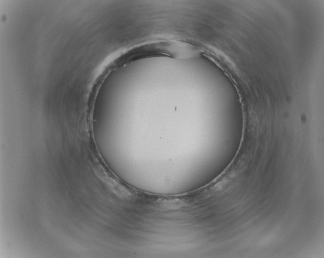 X0000071961168200607282026