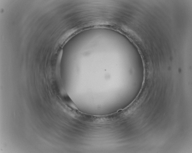 X0000071961169200607282026