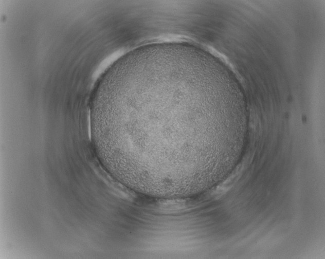 X0000071961171200607282026