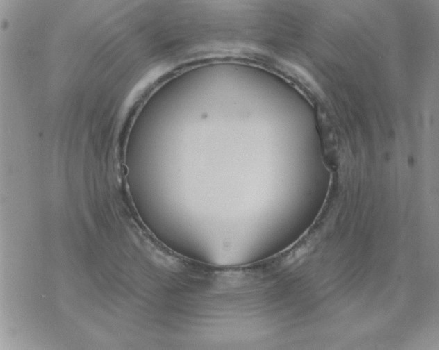 X0000071961172200607282026