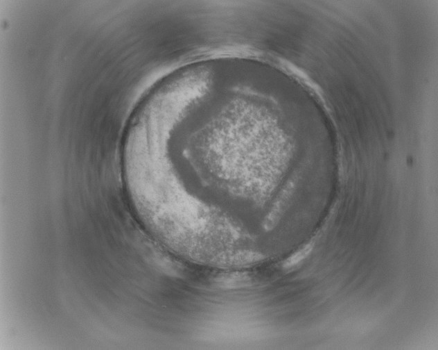 X0000071961174200607282026