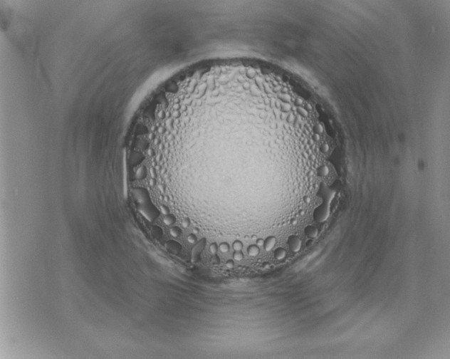 X0000071961175200607282026