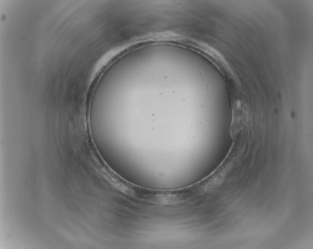 X0000071961176200607282026