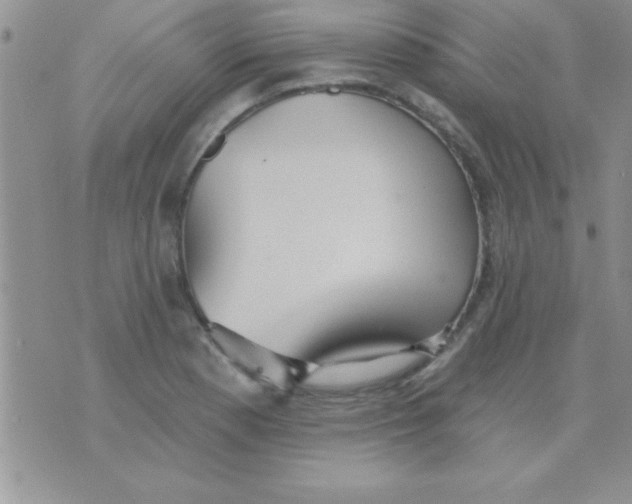 X0000071961177200607282026