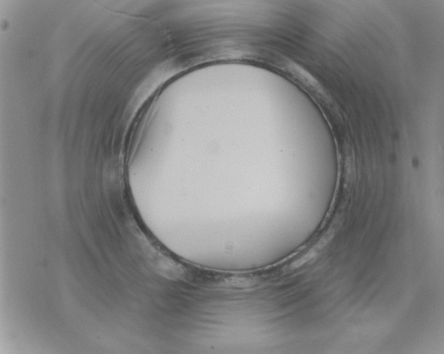 X0000071961178200607282026