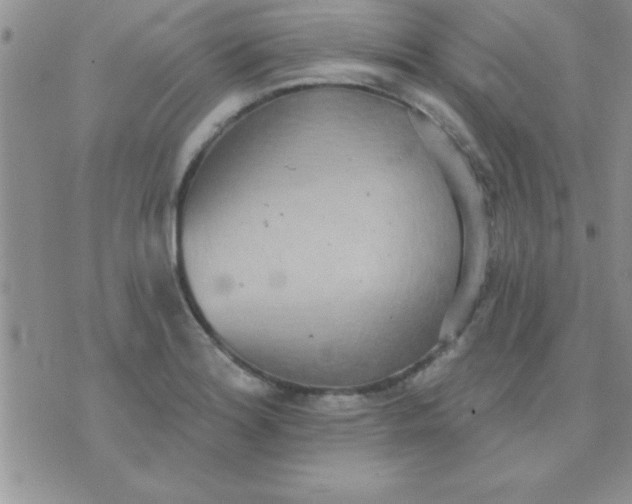 X0000071961180200607282026