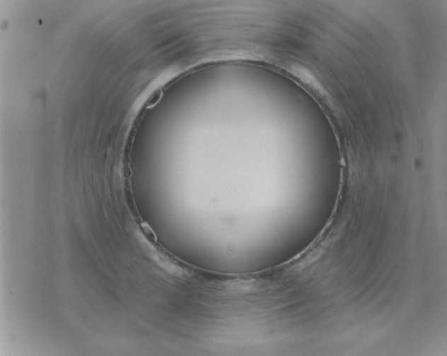 X0000071961181200607282026