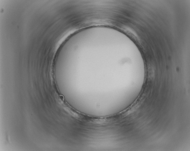 X0000071961182200607282026