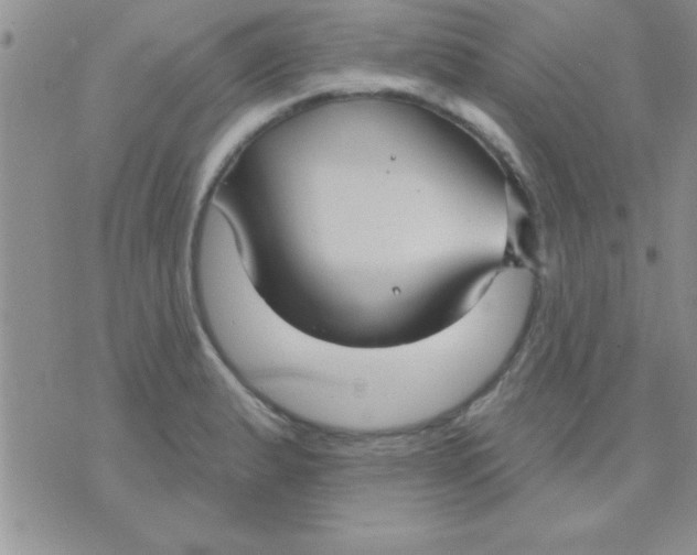 X0000071961183200607282026